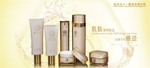 大真堂化妝品線上化之路 產品展示與店鋪裝修的計算機網絡技術開發